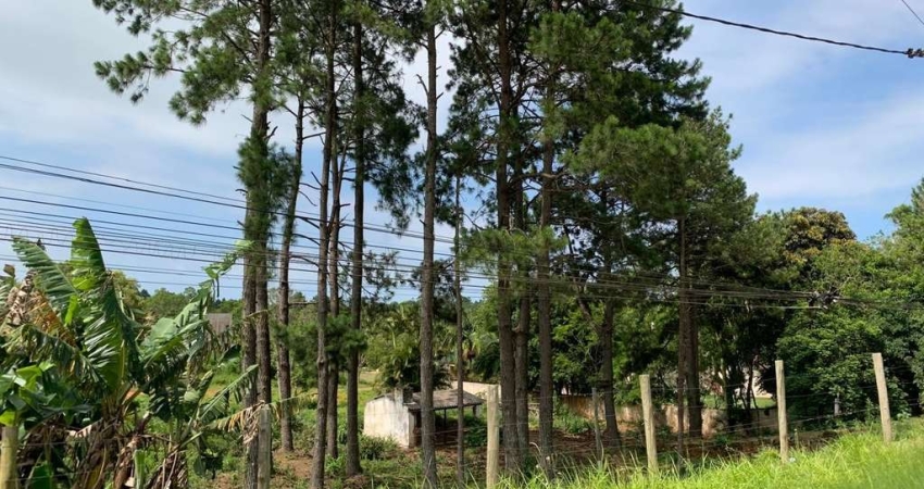 Terreno Comercial para Venda em Torres, Engenho Velho