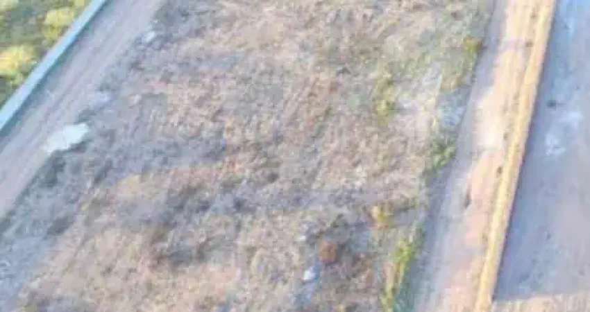 Terreno residencial para Venda em rua pública, Papagaio, Feira de Santana, 300m² área total.