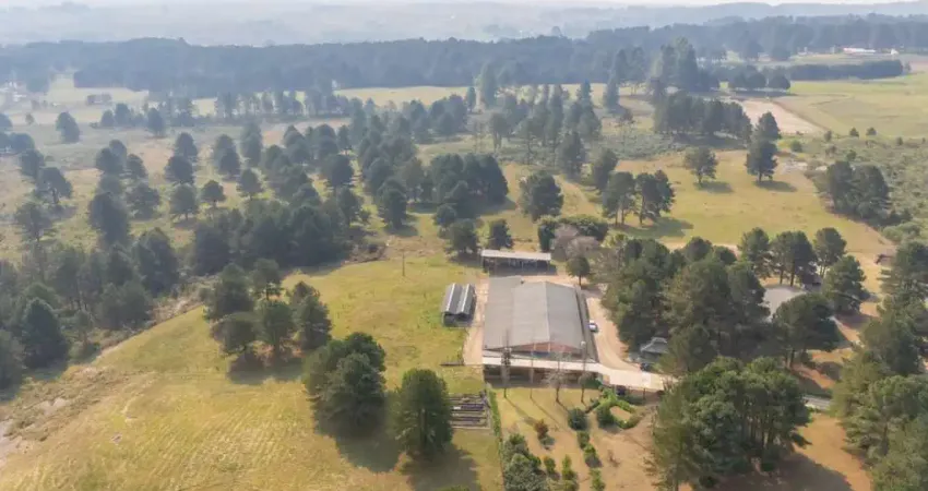 Terreno à venda na BR-376, 539, São Luiz do Purunã, Balsa Nova