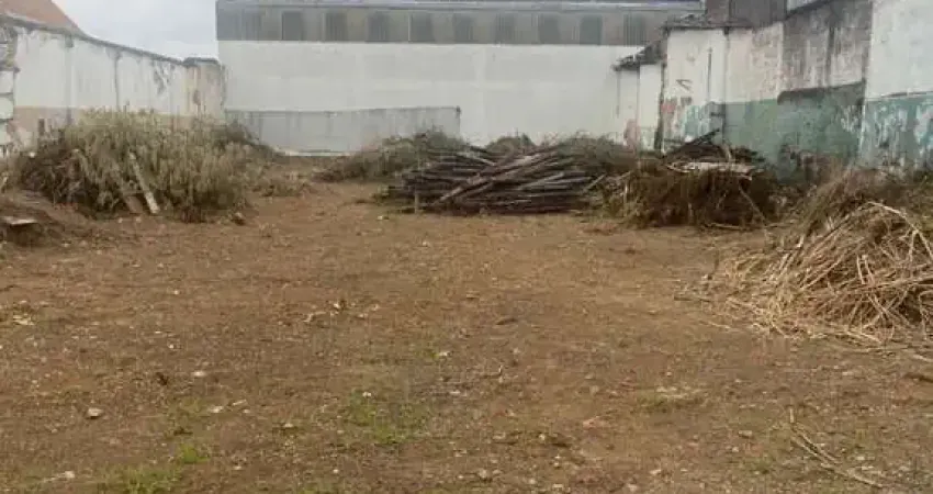 Terreno à venda, 1000 m² por r$ 3.200.000,00 - vila formosa - são paulo/sp