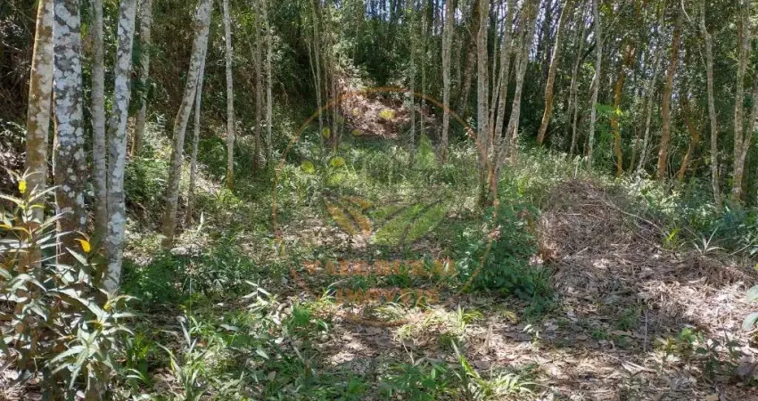 OPORTUNIDADE! ÁREA EXCELENTE COM 27.000M² EM NAZARÉ PAULISTA - SP  AR00078