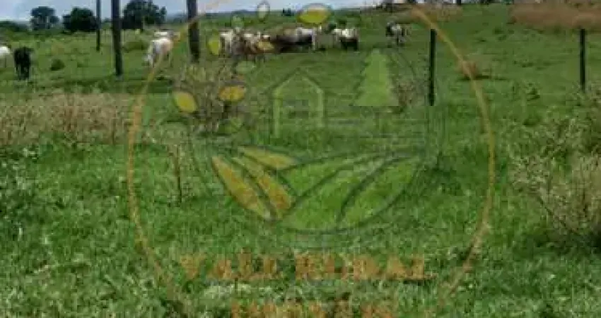 ÓTIMA FAZENDA DE 190 ALQUEIRES EM CALDAS NOVAS GO! FA00131