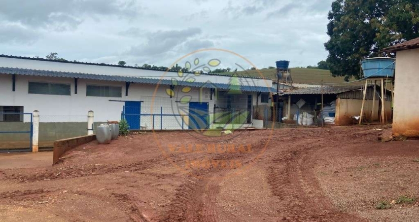 FAZENDA DE 47 HECTARES Á VENDA EM MINAS GERAIS - FA00125