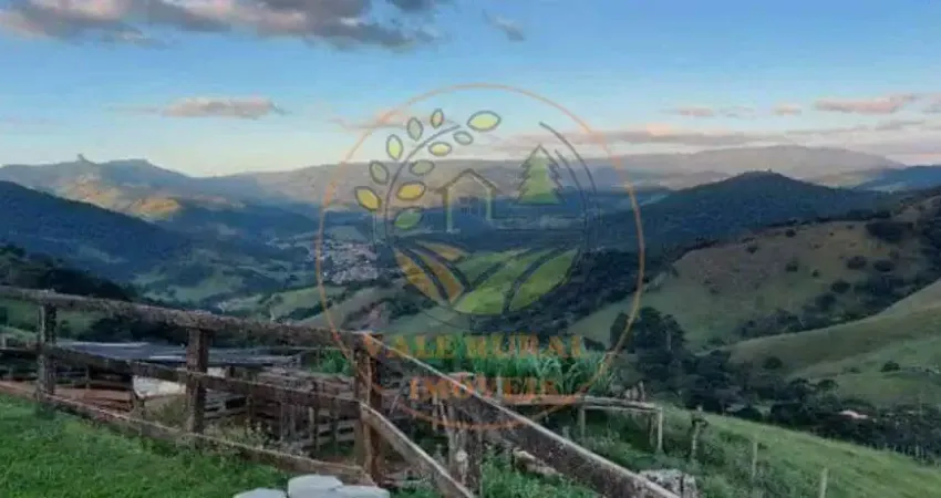 MARAVILHOSA PROPRIEDADE DE 3 ALQUEIRES COM RIACHO EM MG - ST00129