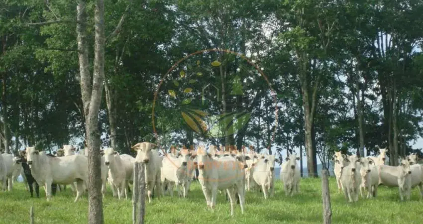 Maravilhosa fazenda com 607 hectares em vazante mg - fa00116