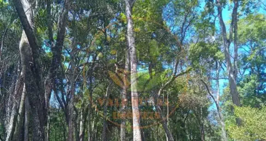 SÍTIO MARAVILHOSO EM CONCEIÇÃO DO RIO VERDE COM DIVERSAS BELEZAS NATURAIS.
