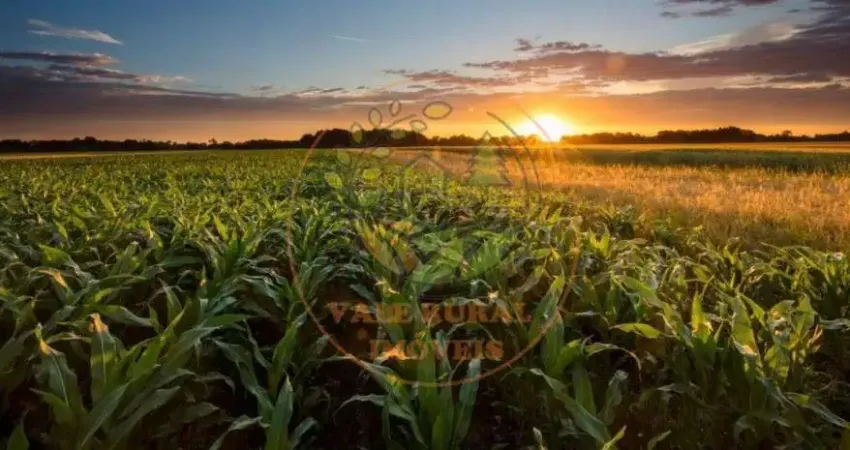 BELÍSSIMA FAZENDA  EM SÃO JOSÉ DO RIO CLARO COM VISTA PRIVILEGIADA  COM 24.433,00 HECTARES DE PURA BELEZA - FA00106