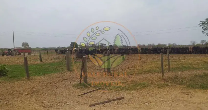 EXCELENTE FAZENDA DE 18.000 HECTARES PARA AGRICULTURA E PECUÁRIA EM MINAS GERAIS! FA00098