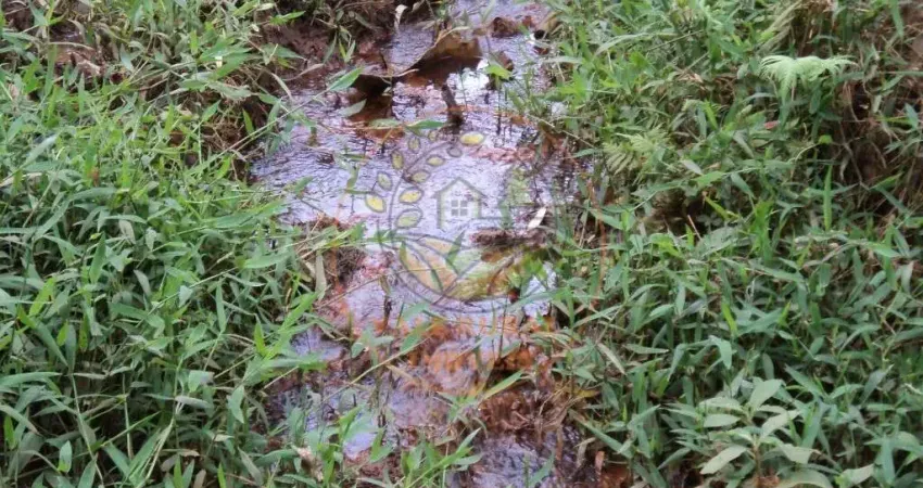 MARAVILHOSA ÁREA COM 6,37 HECTARES E MUITA ÁGUA NO SUL DE MINAS! AR00037