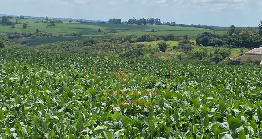 MARAVILHOSA FAZENDA COM TOPOGRAFIA MUITO BOA, PLANTAÇÃO DE SOJA E FACILIDADE NO PAGAMENTO!
