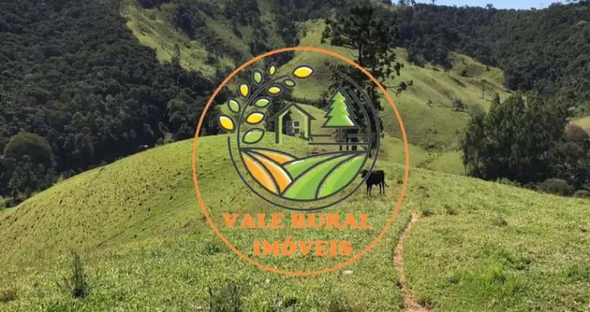 OPORTUNIDADE DE NEGÓCIO!! ÓTIMA ÁREA DE 7 ALQUEIRES EM SAPUCAI MIRIM  - AR00014