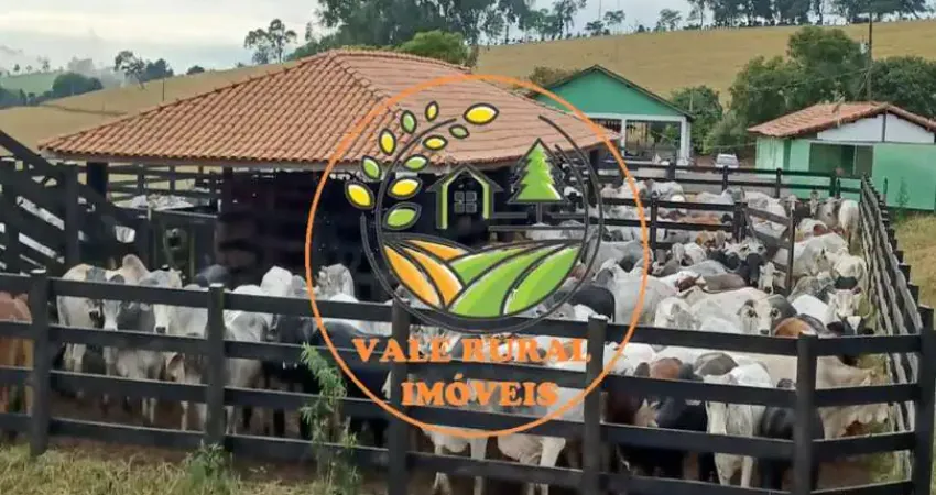 RARIDADE! FAZENDA NO SUL DE MINAS DE  143 HECTARES, COM ESTRUTURA COMPLETA PARA BOIS DE CORTE!  FA00025