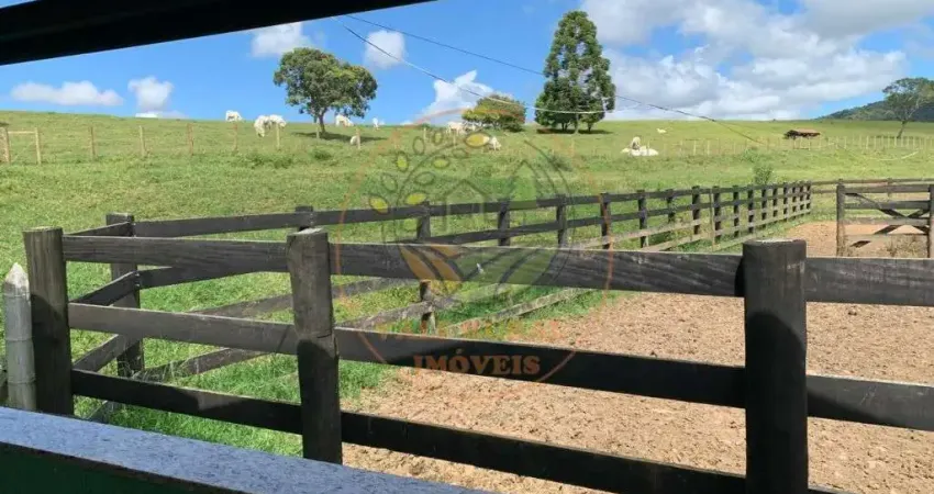 Raridade! fazenda no sul de minas de  153 hectares, com estrutura completa para bois de corte! fa00025