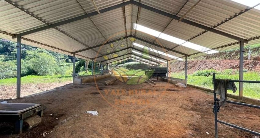 FAZENDA EM LAGOINHA- SP COM APROXIMADAMENTE 40 ALQUEIRES DE EUCALIPTO + ESTRUTURA PARA PECUÁRIA! FA00016