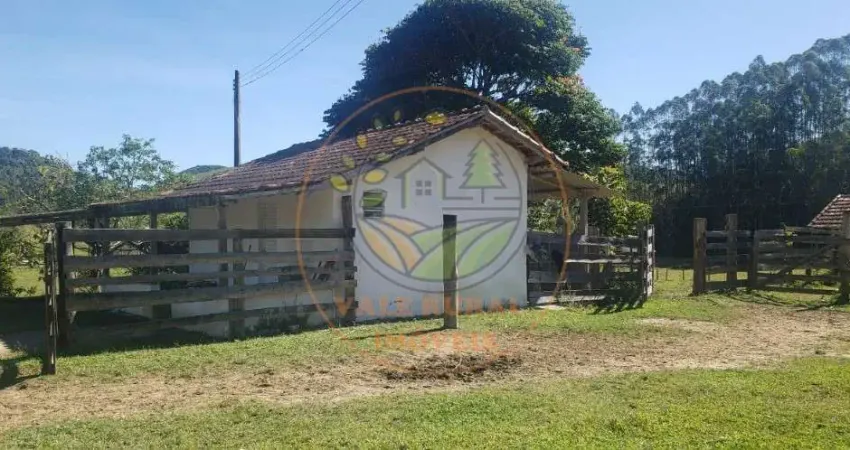 FAZENDA EM NATIVIDADE DA SERRA COM MUITA PASTAGEM E APROPRIADA PARA PECUÁRIA!    FA00015