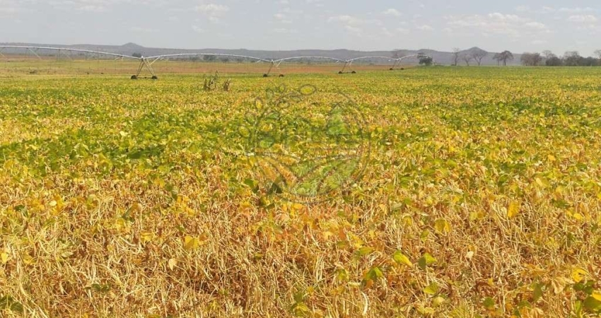 MARAVILHOSA FAZENDA DE 3000 HECTARES EM BURITIZEIRO - MG  FA00213