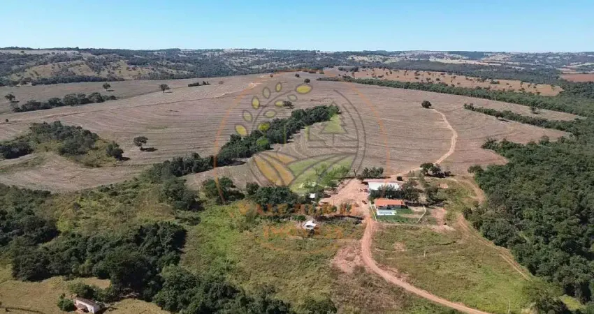 FAZENDA EM GOIÁS, NA REGIÃO DE PIRACANJUBA, COM 62 ALQUEIRES FA00212