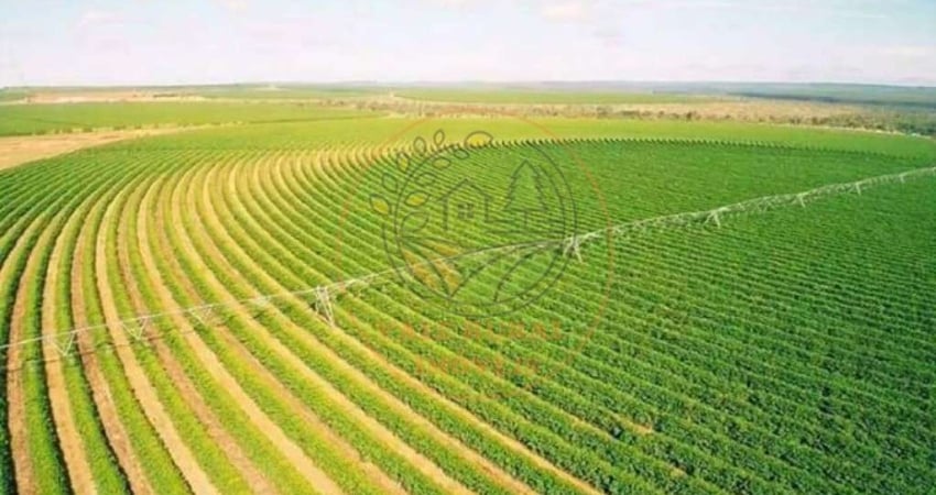 EXCLENTE FAZENDA DE CAFÉ NA REGIÃO DE BURITIZEIRO - MG  FA00209