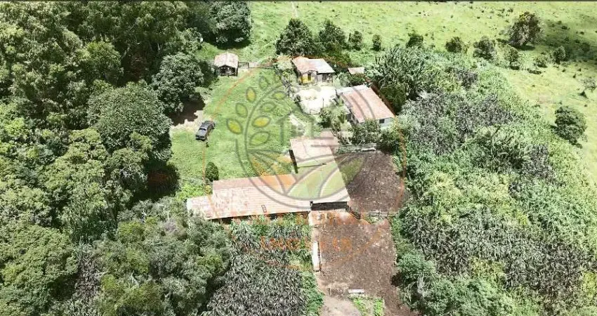 OPORTUNIDADE! FAZENDA DE 205 HECTARES EM ARANTINA - MG  FA00218