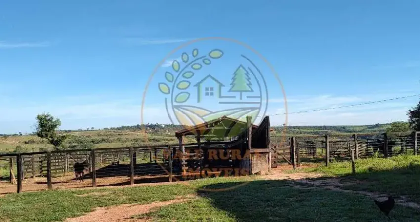 EXCELENTE! FAZENDA DE GADO PRONTA EM SÃO GONÇALO - MG  FA00228
