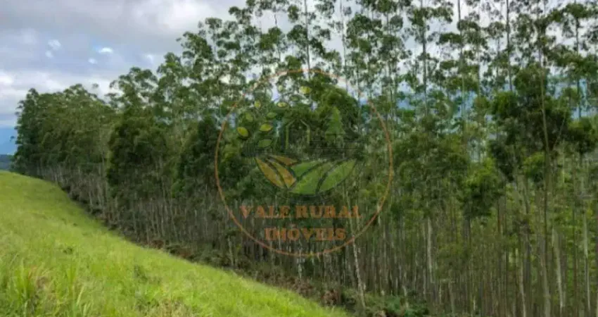 EXCELENTE ÁREA RURAL COM 8 ALQUEIRES EM SÃO FRANCISCO XAVIER - SP  AR00097