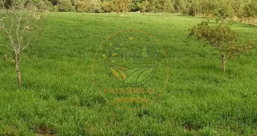 FAZENDA À 100 KM ARAGUAÍNA-TO, COM 385 ALQUEIRES VOLTADA PRA PECUÁRIA E AGRICULTURA, COM 7,5 KM DE RIO FA00241
