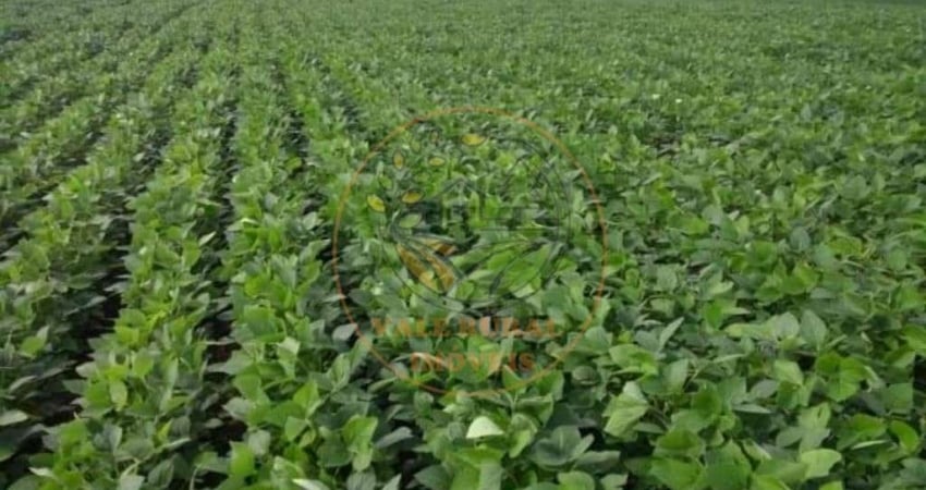 FAZENDA 1.238 HECTARES NA REGIÃO DE CAPITÓLIO EM MINAS GERAIS!  FA00246