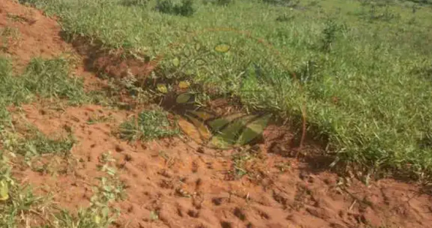 FAZENDA EM MINEIROS - GO COM 623 ALQUEIRES  FA00245