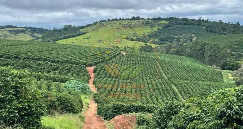 EXCELENTE FAZENDA  DE CAFÉ NO SUL DE MINAS COM 750 HECTARES  FA00252