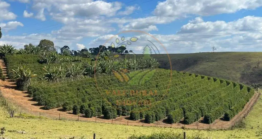 FAZENDA DE 790 HECTARES NA REGIÃO DO CIRCUITO DAS ÁGUAS, SUL DE MINAS FA00251