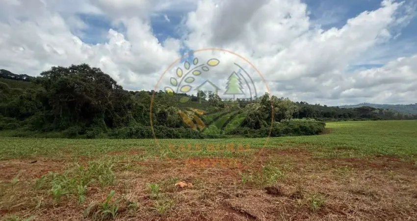 FAZENDA NA REGIÃO DE SÃO LOURENÇO - MG COM 127 HECTARES  FA00256