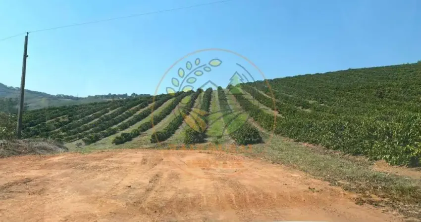 FAZENDA COM 126 HECTARES EM SÃO GONÇALO DO SAPUCAÍ- MG  FA00255