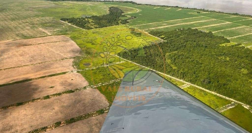 FAZENDA NO TOCANTINS COM 834 ALQUEIRES - VALE DO ARAGUAIA  FA00254