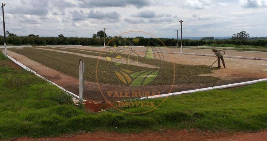 FAZENDA DE CAFÉ COM 135 HECTARES NA REGIÃO DE PIUMHI - MG  FA00258