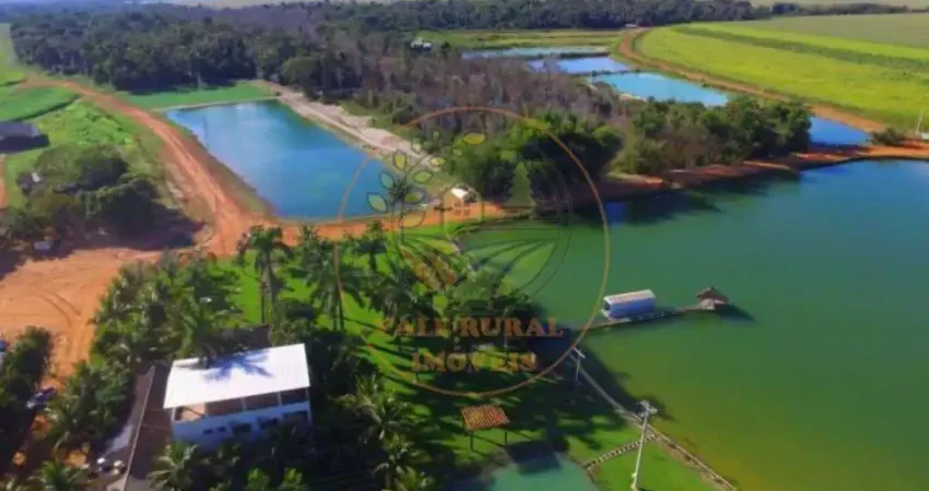 FAZENDA  COM 8.000 HECTARES NA REGIÃO DE SINOP- MT  FA00267