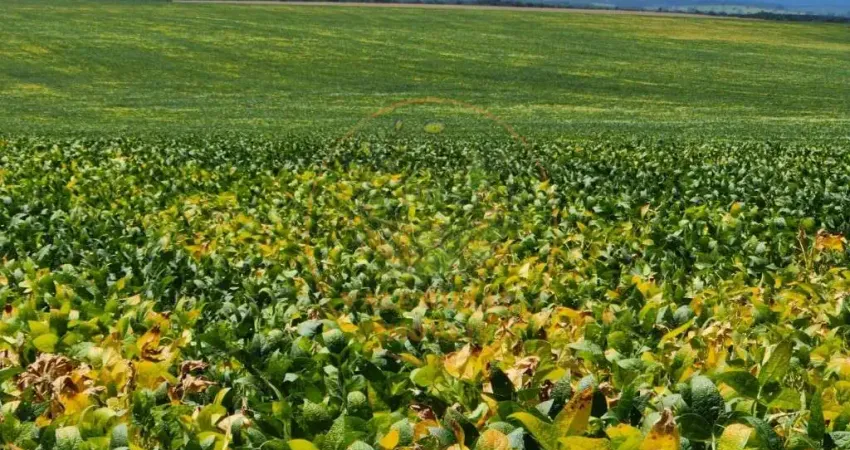 EXCELENTE FAZENDA DE 1.738 HECATRES EM LUZIANIA - GO  FA00274