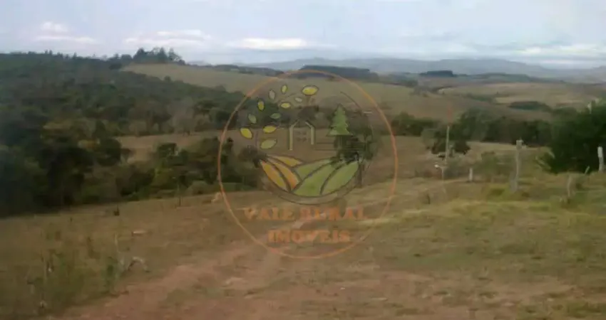 EXCELENTE! SITIO EM CARRANCAS - MG COM 38,5 HECTARES  ST00244