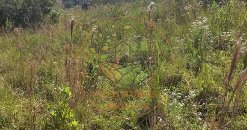 ÁREA RURAL A VENDA COM 23 HECTARES EM ARANTINA - MG  AR00101