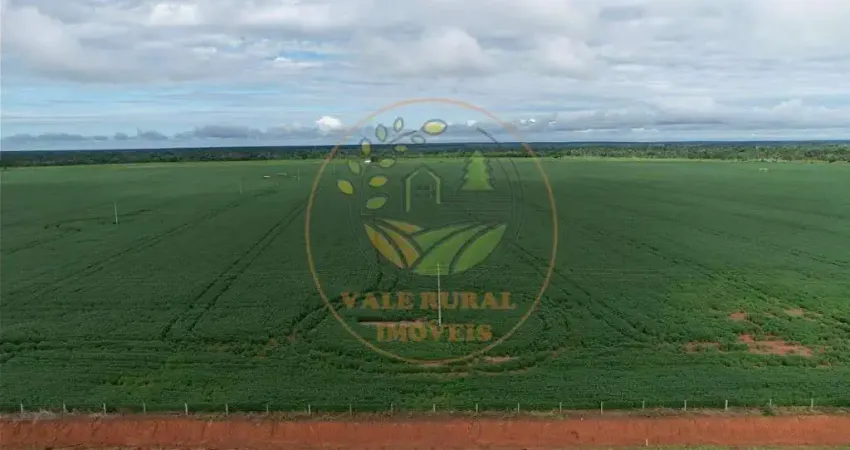 FAZENDA DE 9.700 HECTARES NO MATO GROSSO COM PISTA DE POUSO  FA00282