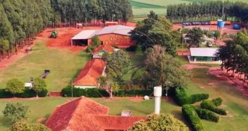 EXCELENTE FAZENDA COM 90.000 HECTARES NA REGIÃO DE PARANATINGA - MT  FA00281