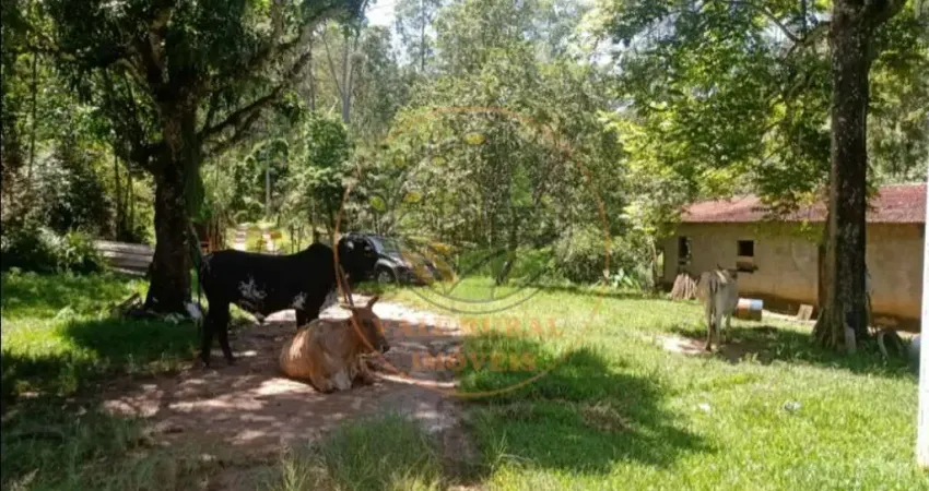 FAZENDA DE 29 ALQUEIRES COM PLANTAÇÃO DE EUCALIPTO EM CAÇAPAVA - SP  FA00288
