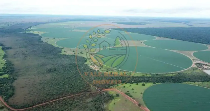 EXCELENTE FAZENDA DE ALTA PRODUTIVIDADE EM JUSSARA - GO  FA00295