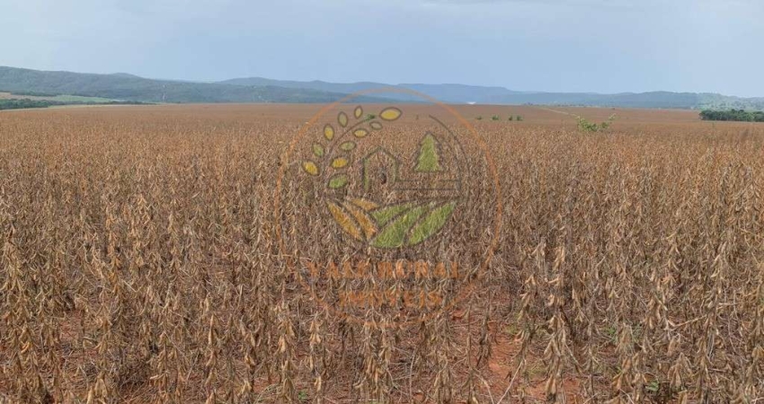 FAZENDA NA REGIÃO DE CALDAS NOVAS - GO COM 716 ALQUEIRES  FA00294