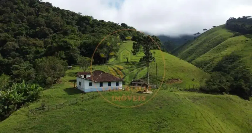 SITIO DE 6 ALQUEIRES LOCALIZADO EM MEIO A MARAVILHOSA NATUREZA DE SÃO FRANCISCO XAVIER - SP  ST00258