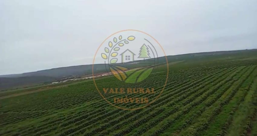 EXCELENTE FAZENDA DE CAFÉ A VENDA EM MINAS GERAIS  FA00301