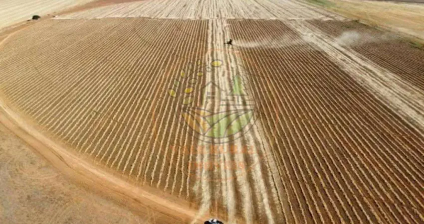 OPORTUNIDADE! FAZENDA NA REGIÃO DE CRISTALINA - GO  FA00302