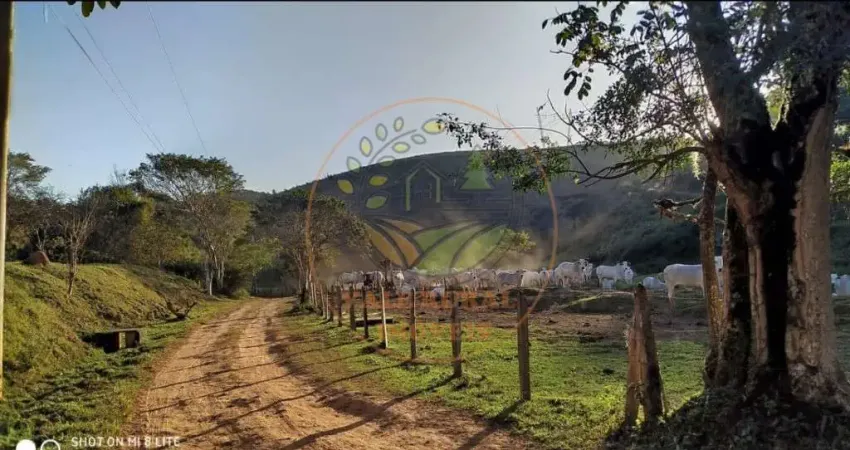 FAZENDA DE 106 ALQUEIRES NA REGIÃO DE SÃO JOSÉ DOS CAMPOS- SP  FA00305