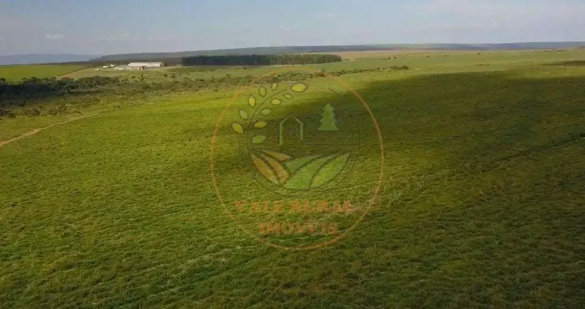 FAZENDA EM GOIÁS- PRÓXIMA A BRASILIA COM 1.958 HECTARES  FA00309