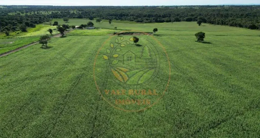 Vendo fazenda com 484 hectares em são miguel do araguaia- go (alta produtividade, região em expansão agrícola). fa00330