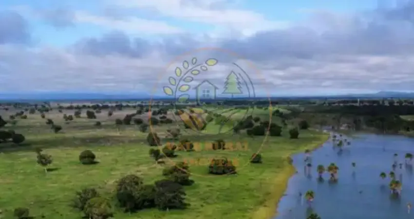 Fazenda à venda-barra do garças/mt a melhor fazenda da região fa00338